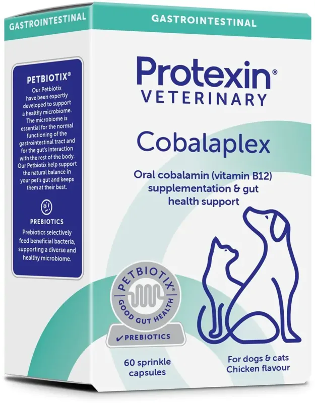 Protexin Cobalaplex kobalamin vagy folsav hiány esetén kutyáknak és macskáknak