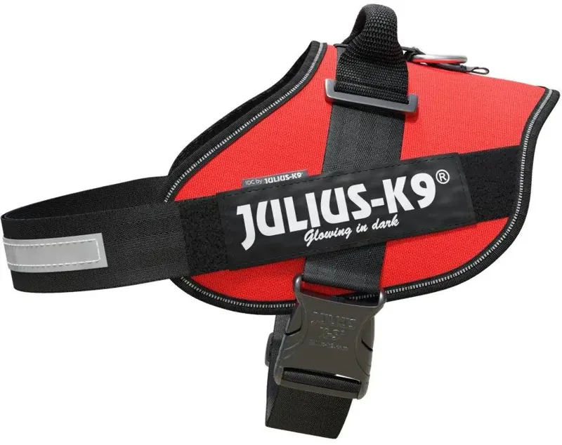 Julius-K9 IDC piros powerhám kutyáknak