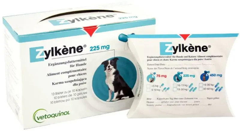 Zylkéne stresszoldó, nyugtató kapszula közepes és nagytestű kutyáknak