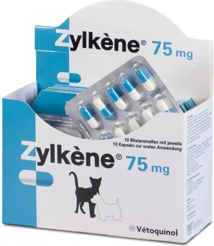 Zylkéne stresszoldó, nyugtató kapszula macskáknak és kistestű kutyáknak